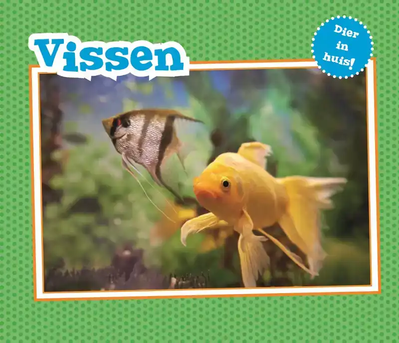 VISSEN