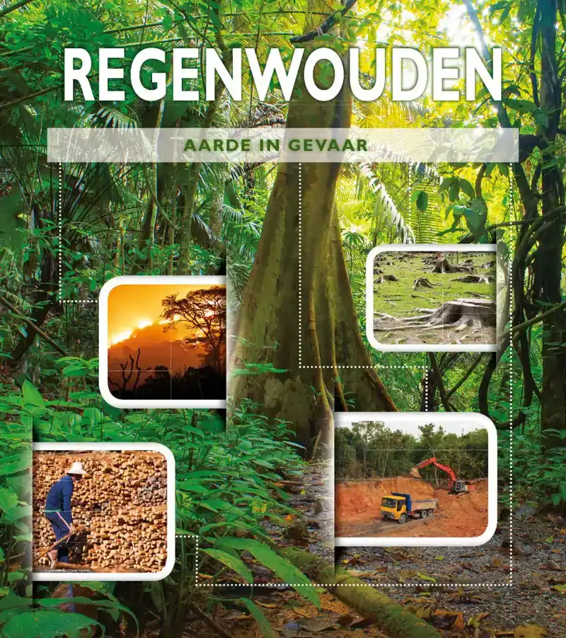 REGENWOUDEN