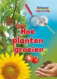 HOE PLANTEN GROEIEN