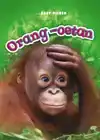 ORANG-OETAN