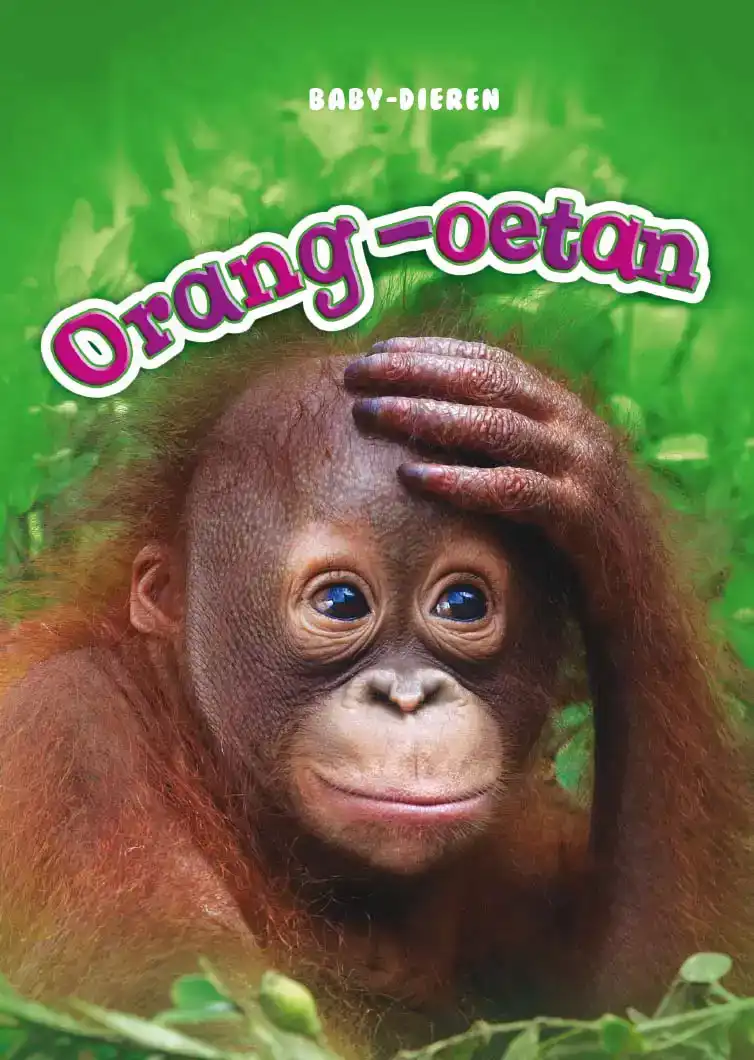 ORANG-OETAN