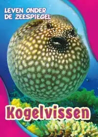 KOGELVISSEN