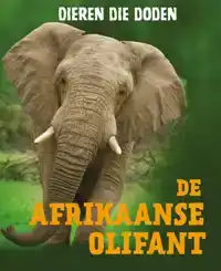 DE AFRIKAANSE OLIFANT