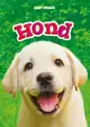 HOND