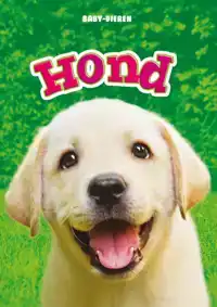 HOND