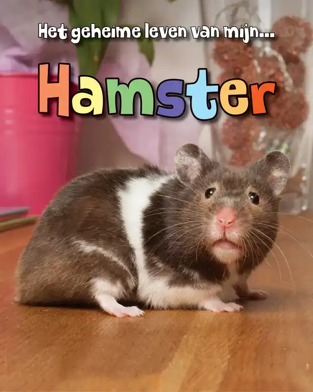 HAMSTER