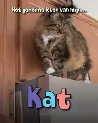 KAT