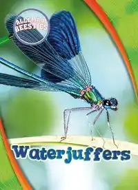 WATERJUFFERS