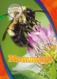 HOMMELS