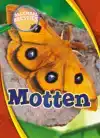 MOTTEN