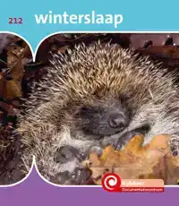 WINTERSLAAP