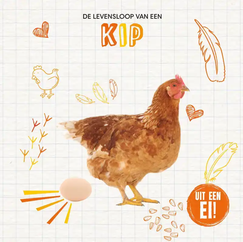 DE LEVENSLOOP VAN EEN KIP