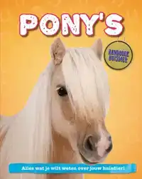 PONY'S