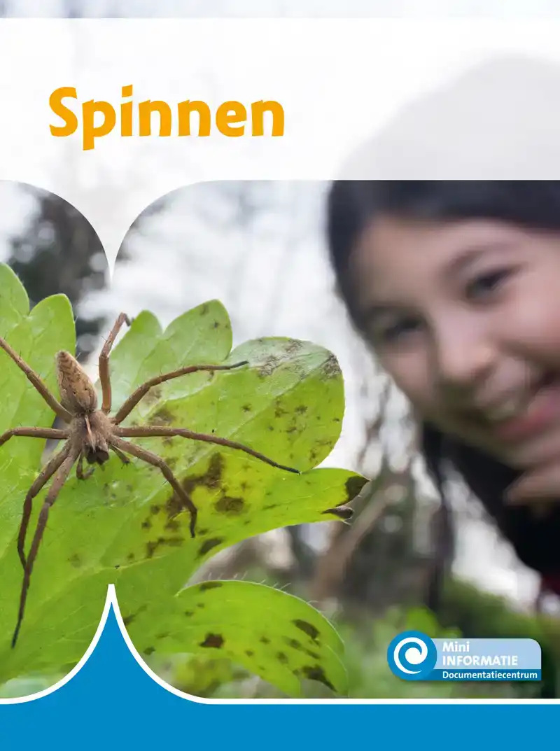SPINNEN