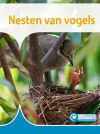 NESTEN VAN VOGELS