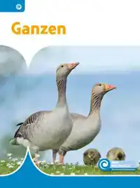 GANZEN