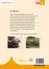 DE BIG FIVE