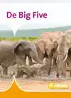 DE BIG FIVE