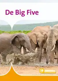 DE BIG FIVE