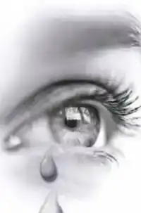 DIT GELOOF JE TOCH NIET!