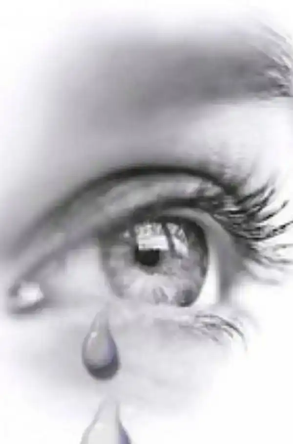 DIT GELOOF JE TOCH NIET!