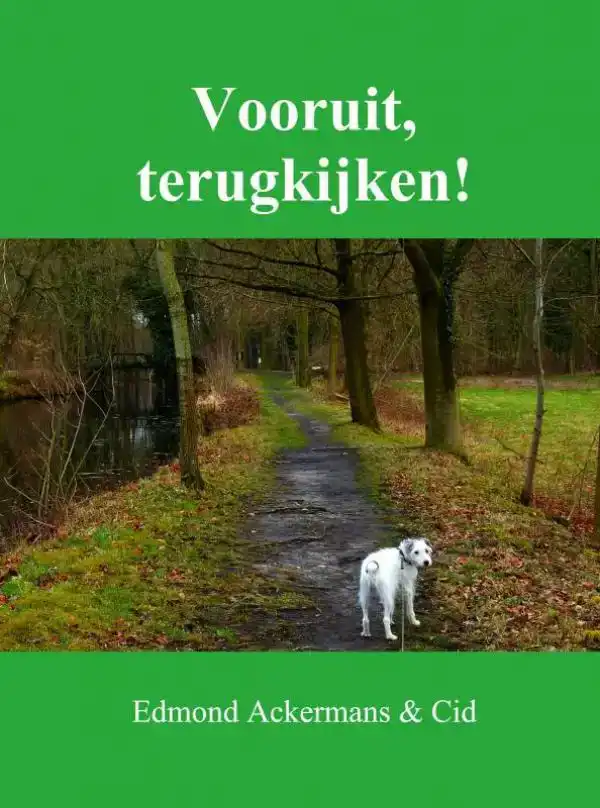 VOORUIT, TERUGKIJKEN!