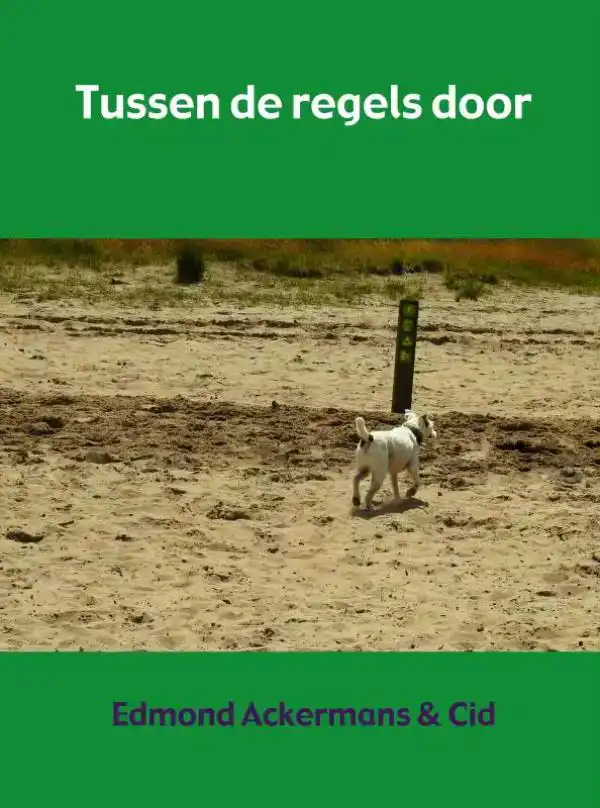 TUSSEN DE REGELS DOOR