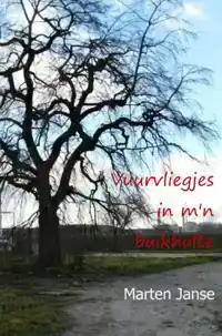 VUURVLIEGJES IN M'N BUIKHOLTE