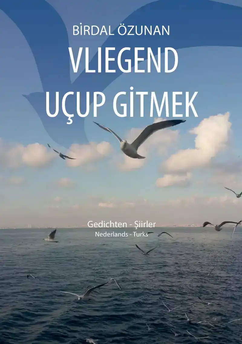 VLIEGEND UCUP GITMEK