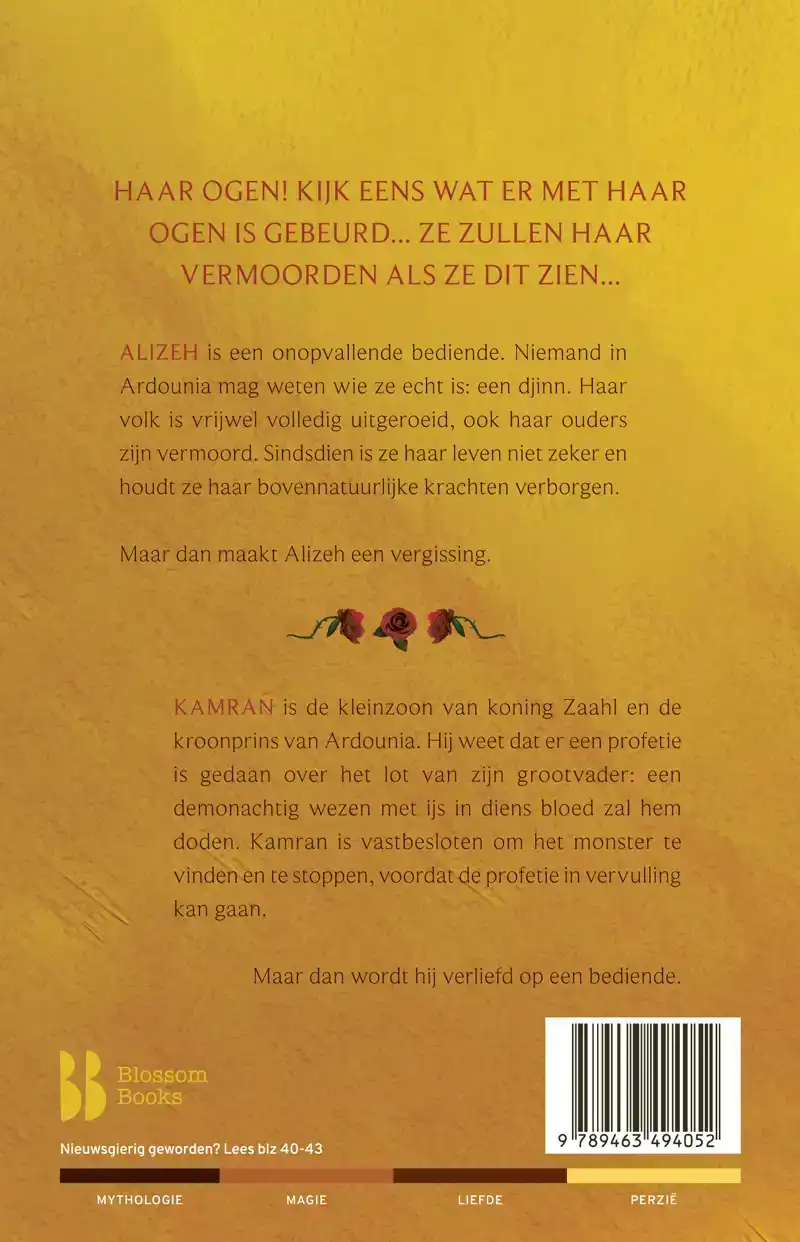 ALIZEH. DE DUISTERE PROFETIE