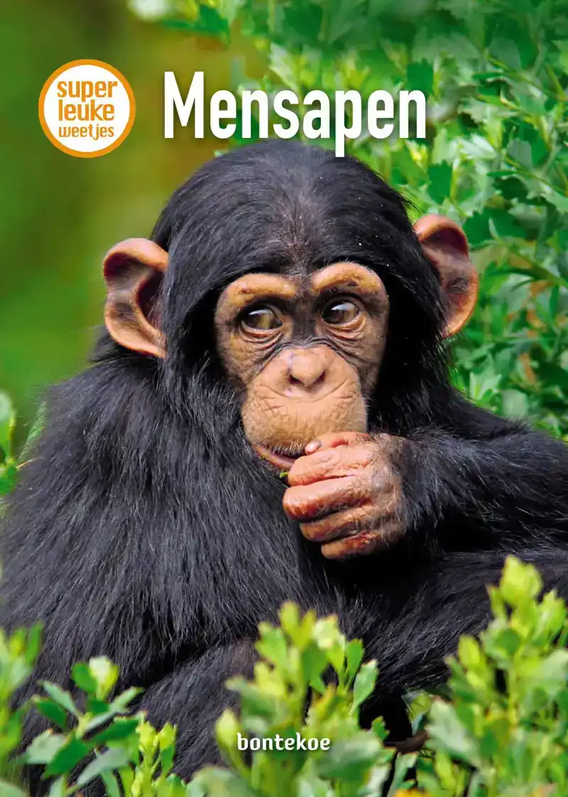 MENSAPEN