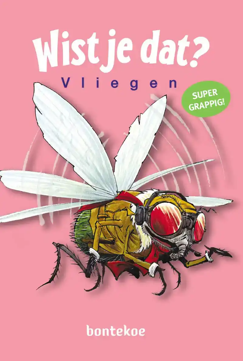 VLIEGEN