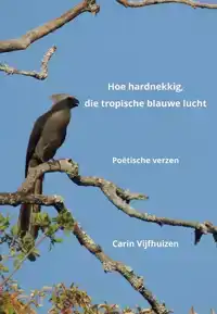 HOE HARDNEKKIG, DIE TROPISCHE BLAUWE LUCHT