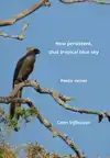 HOW PERSISTENT, THAT TROPICAL BLUE SKY