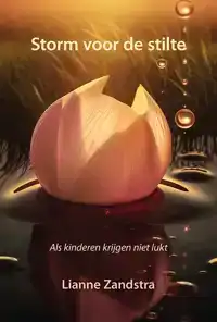 STORM VOOR DE STILTE