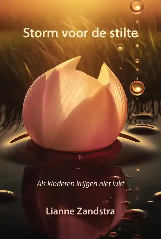 STORM VOOR DE STILTE