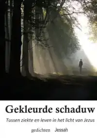 GEKLEURDE SCHADUW