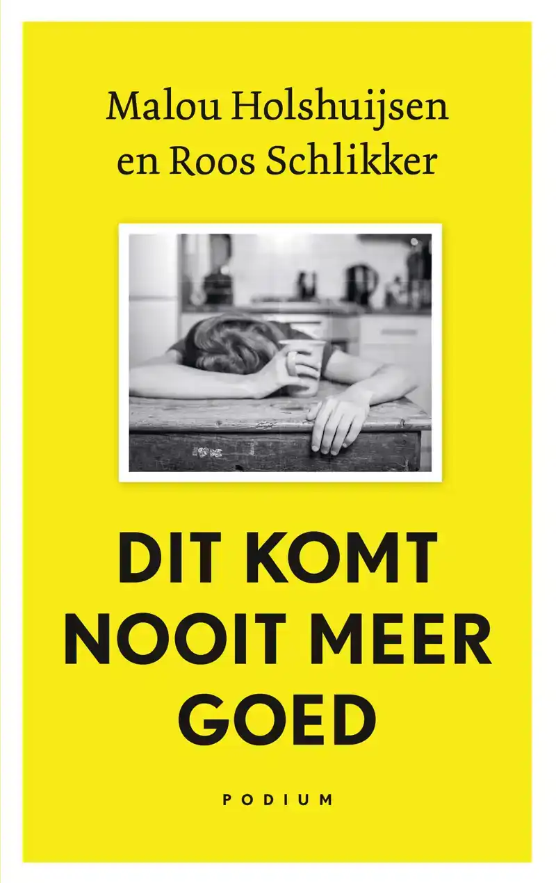 DIT KOMT NOOIT MEER GOED