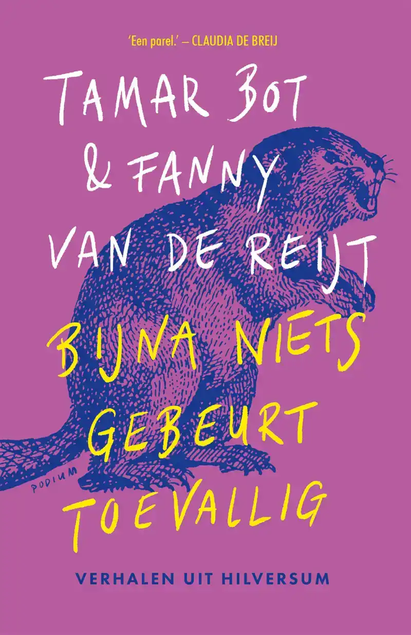BIJNA NIETS GEBEURT TOEVALLIG
