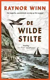 DE WILDE STILTE