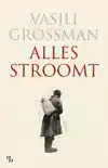 ALLES STROOMT
