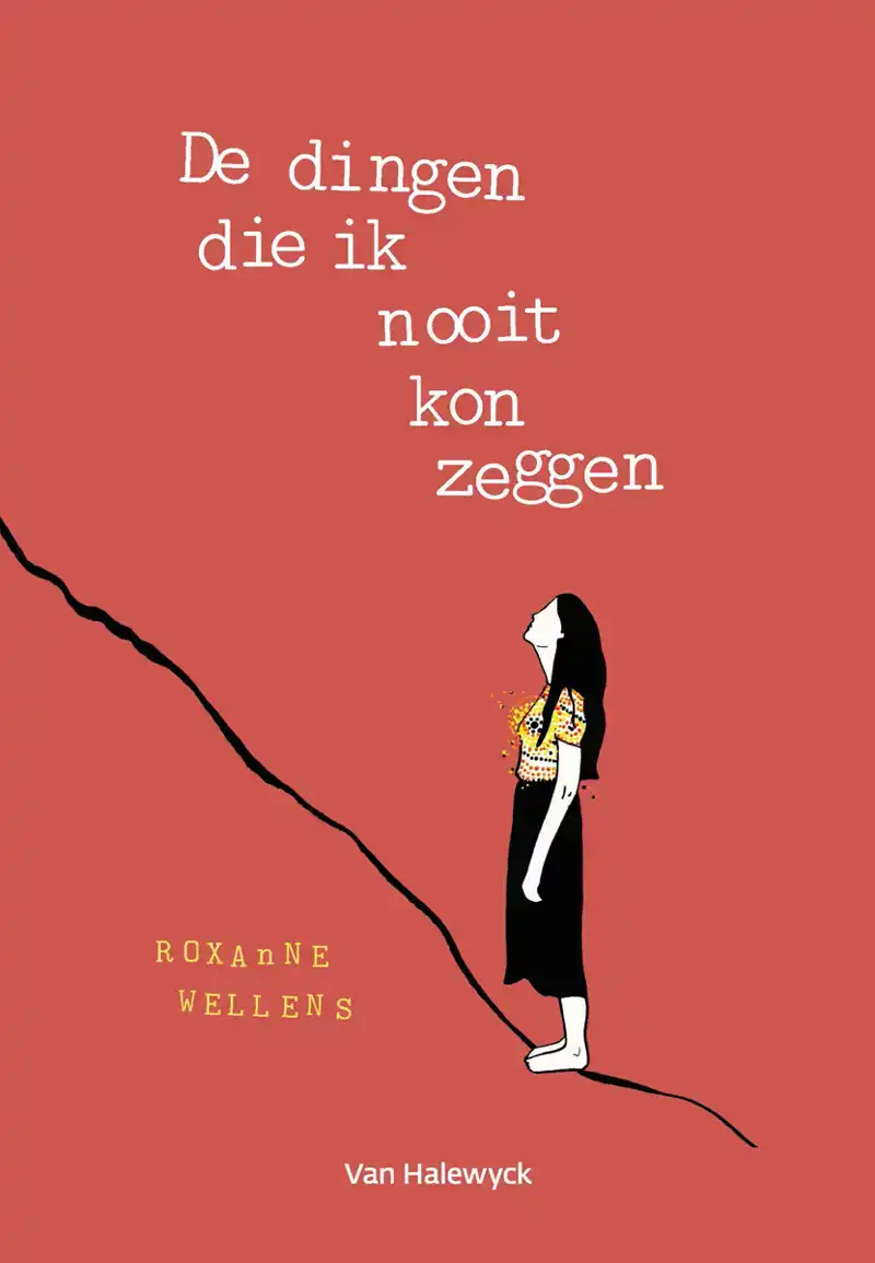 DE DINGEN DIE IK NOOIT KON ZEGGEN