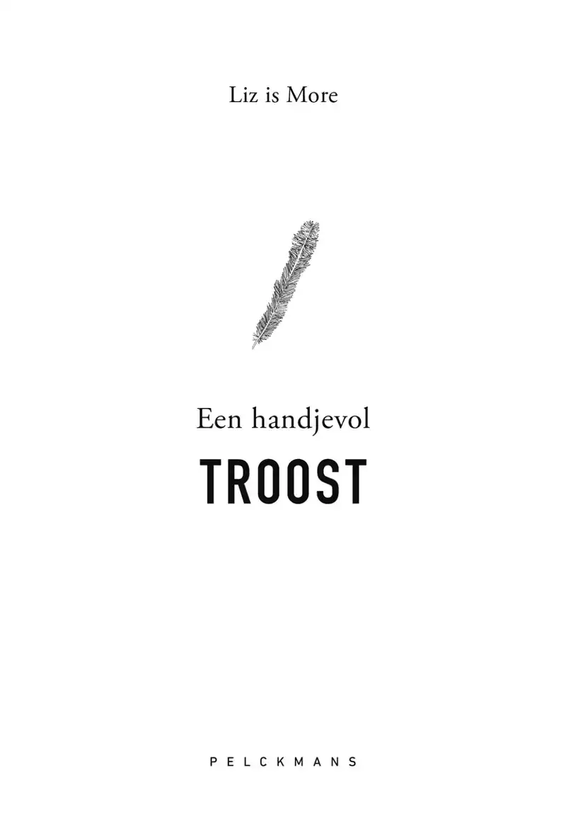 EEN HANDJEVOL TROOST