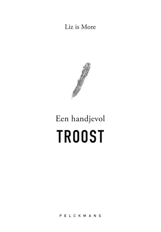 EEN HANDJEVOL TROOST