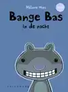 BANGE BAS IN DE NACHT