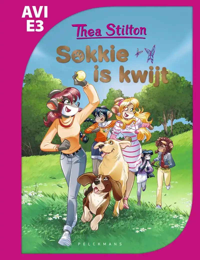 SOKKIE IS KWIJT (AVI E3)