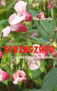 SPRINGZAAD