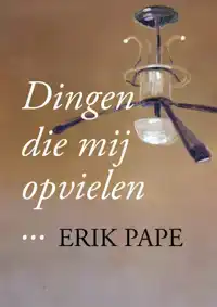 DINGEN DIE MIJ OPVIELEN