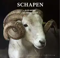 SCHAPEN IN DE WEIDEN VAN DE LAGE LANDEN