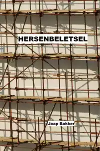 HERSENBELETSEL
